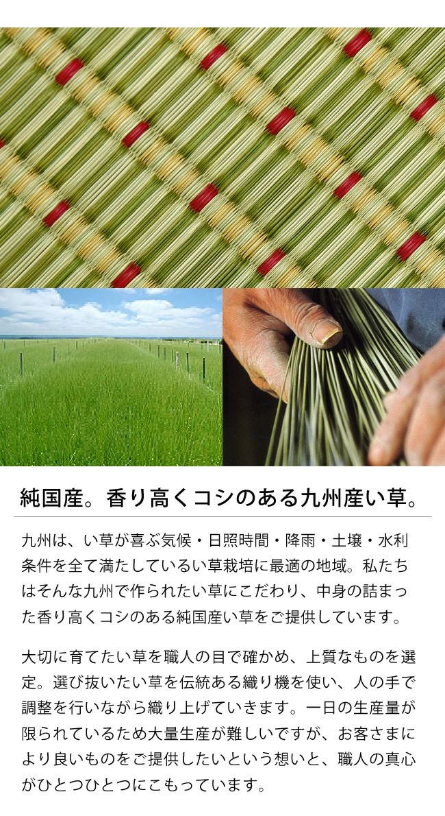 い草ラグ・カーペット「さざ波」 江戸間3畳（174×261cm） 3帖_詳細05