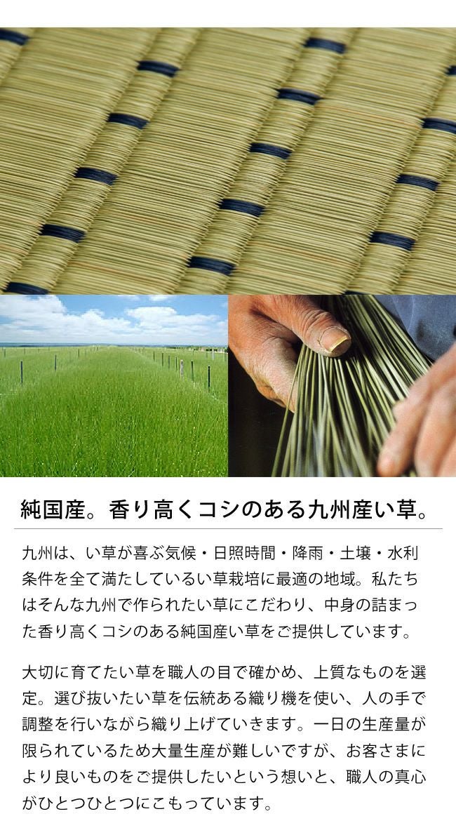 い草ラグ・カーペット「水草」 江戸間4.5畳（261×261cm） 4.5帖_詳細05