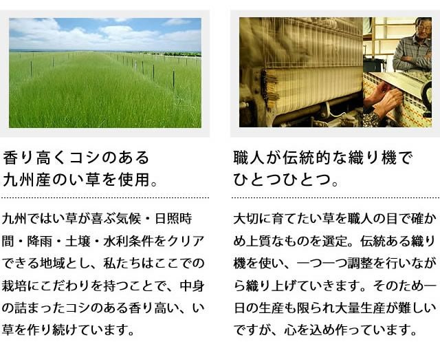 い草ラグ・カーペット「翔」（190×190cm）_詳細05