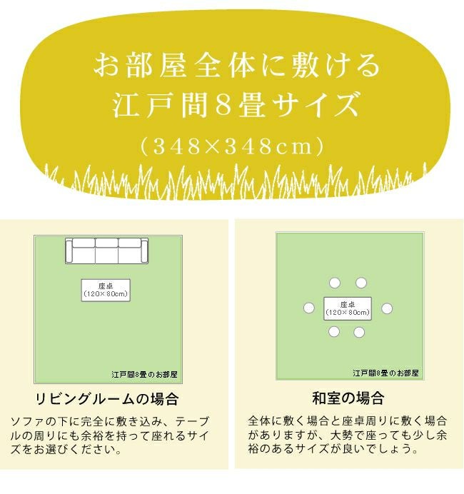 気軽に使える大きさのい草ラグ