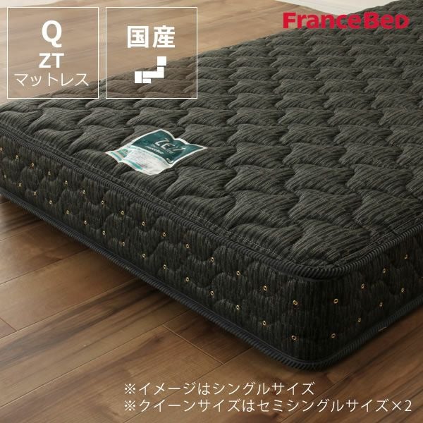 FRANCEBED【クイーンサイズマットレス
】 FRANCEBED クイーン_TD-ラメール マットレス ザ・フランスベッド