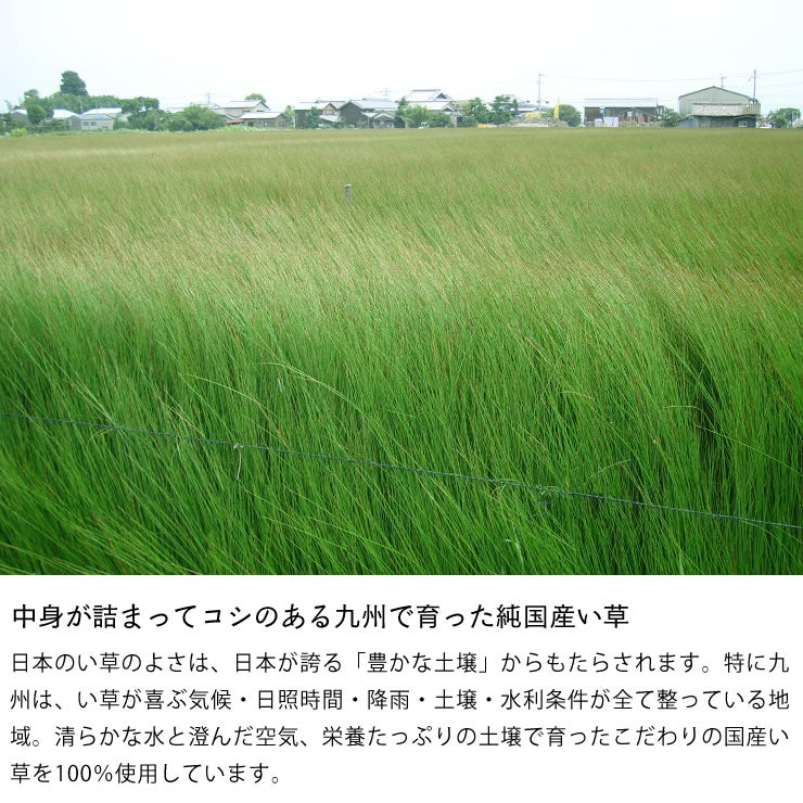 中身が詰まってコシのある九州で育った純国産い草