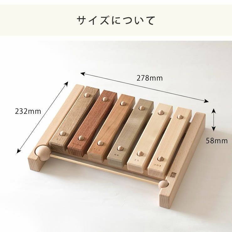 小さな森の合唱団のサイズについて