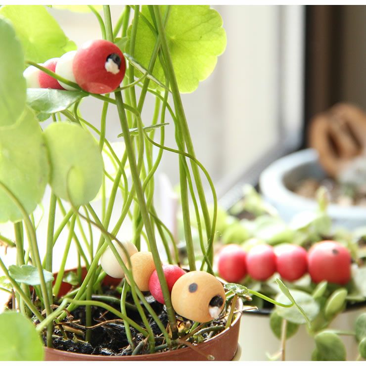 夢工房ももたろう木のおもちゃ ひっつきむし グッドトイ選定商品