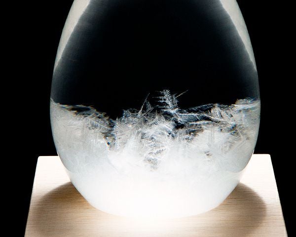 テンポドロップ 100percentストームグラスTempoDrop Perrocaliente（ペロカリエンテ）_詳細03