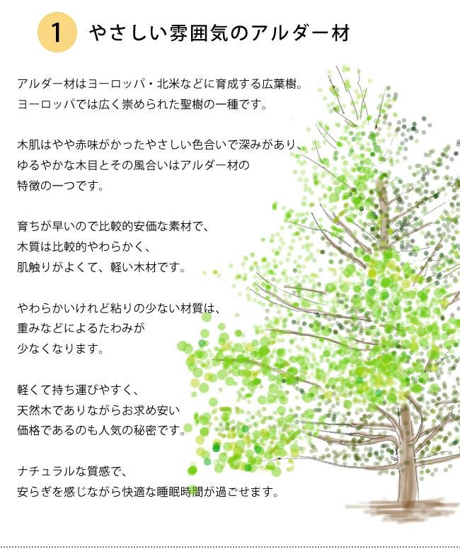 優しい雰囲気のアルダー材二段ベッド