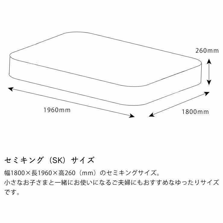 サータ（Serta）ポスチャーノーマルポケットコイルマットレス（ノーマルタイプ）SK セミキングサイズ（3ゾーン：交互配列）_詳細14