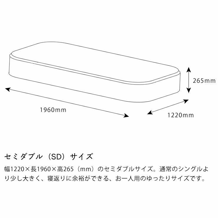 サータ（Serta）ペディック62 ボックストップ F1Pポケットコイルマットレス（BOXトップタイプ）SD セミダブルサイズ（3ゾーン：並行配列）_詳細14