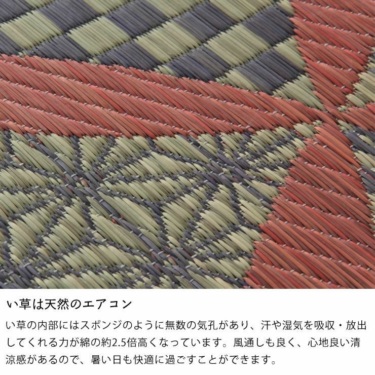 格子模様が美しいい草ラグ 191×250cm 裏貼り加工 「DX常盤」_詳細06