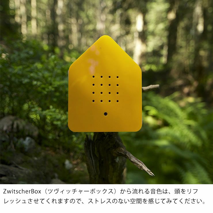 ツヴィッチャーボックス クラシック（Zwitsc オーナメント・置物｜雑貨