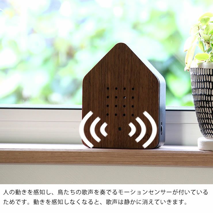 ツヴィッチャーボックス ウッド（Zwitsche オーナメント・置物｜雑貨