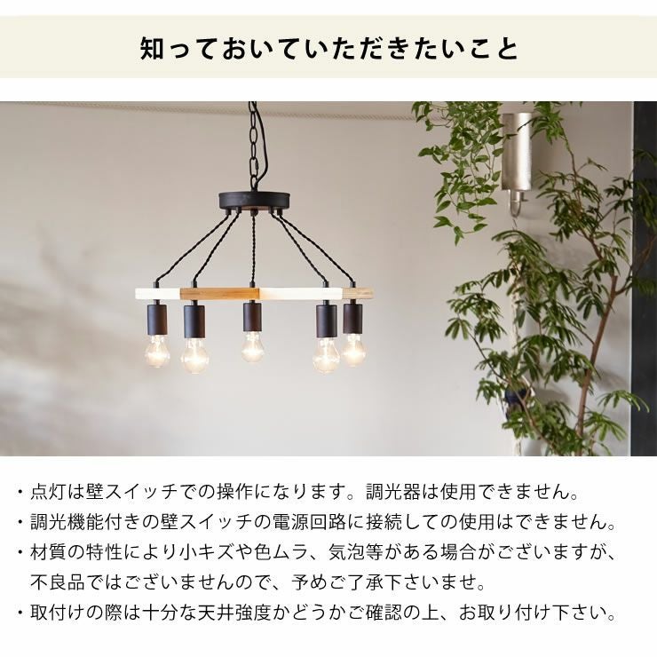 電球プレゼント】BRID（ブリッド） 5灯ウ ペンダントライト｜天井照明