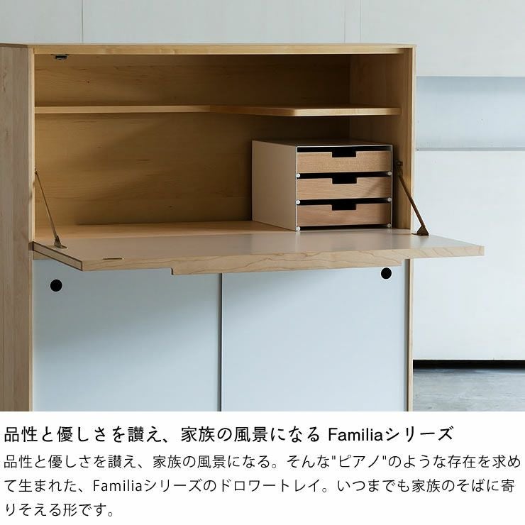 使いやすさを配意慮したわくわくするデザインのドロワートレイ M杉工場 familia_詳細04