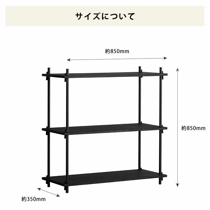 MOEBE（ムーベ）シェルビングシステムシングル 高さ85cm（ブラック）　_詳細08