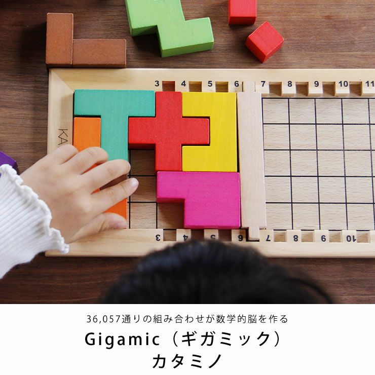 36,057通りの組み合わせが数学的脳を作るGigamic(ギガミック)カタミノ