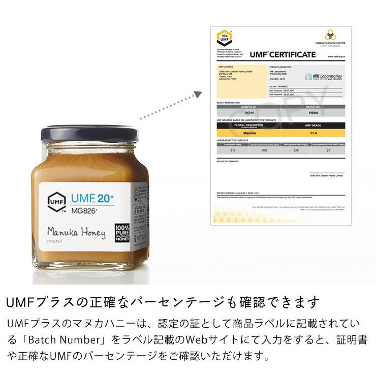 HONEY MARKS（ハニーマークス）マヌカハニーUMF20プラス（250g）_詳細08