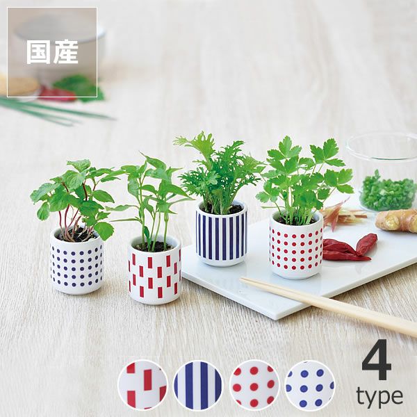 観葉植物 おちょこで薬味栽培セット 栽培キット オーナメント・置物