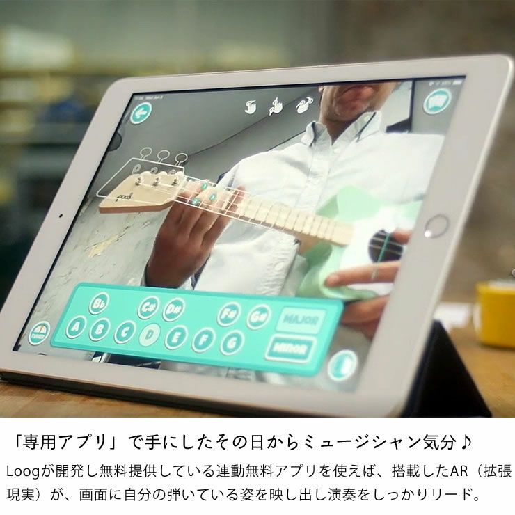 Loog（ルーグ）ギター ルーグ・プロ（ ベビーグッズ・おもちゃ