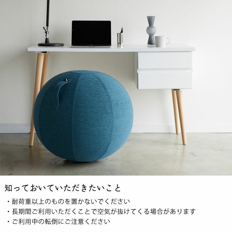 山崎実業 vivora（ビボラ）シーティングボール　ルーノ　シュニールシリーズ ファブリックカバーについて知っておいていただきたいこと