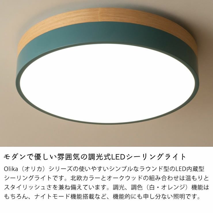 BRID（ブリッド） LED シーリングライト ペンダントライト｜天井照明