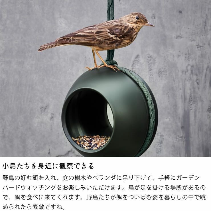 小鳥たちを身近に観察できるバードフィーダー