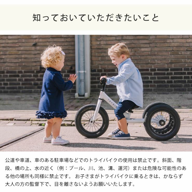 トライバイクの知っておいていただきたいこと