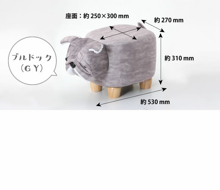 ブルドックのサイズについて