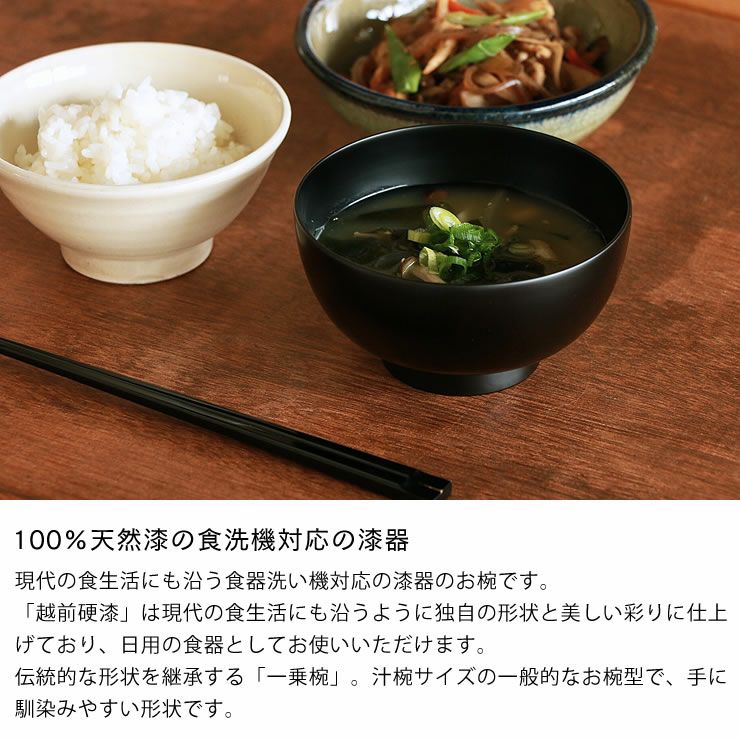 漆琳堂（シツリンドウ）越前硬漆 一乗椀 4寸汁椀 （容量： 和洋食器