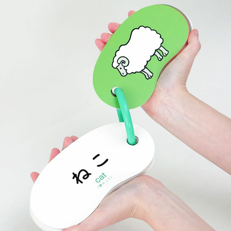 鮮やかな色彩と、楽しいイラスト、カラフルな リングカード・どうぶつ