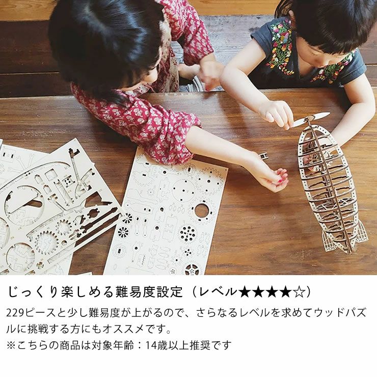 つくるんですつくろう！動く3Dウッドパズル 飛行 オーナメント・置物