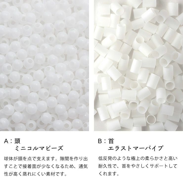 ジムナストプラスの構造の秘密