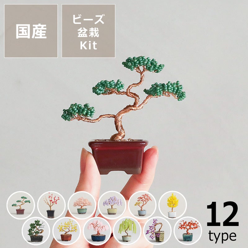 MIYUKI(ミユキ)ネジッテBONSAIキット オーナメント・置物｜雑貨通販