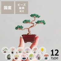 MIYUKI(ミユキ）ネジッテBONSAIキット