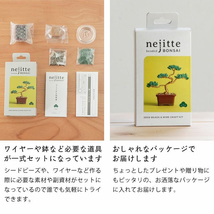 お洒落なパッケージと制作に必要なものすべてが入っているネジッテBONSAIキット