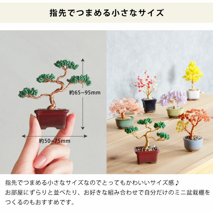 MIYUKI(ミユキ)ネジッテBONSAIキット オーナメント・置物｜雑貨通販