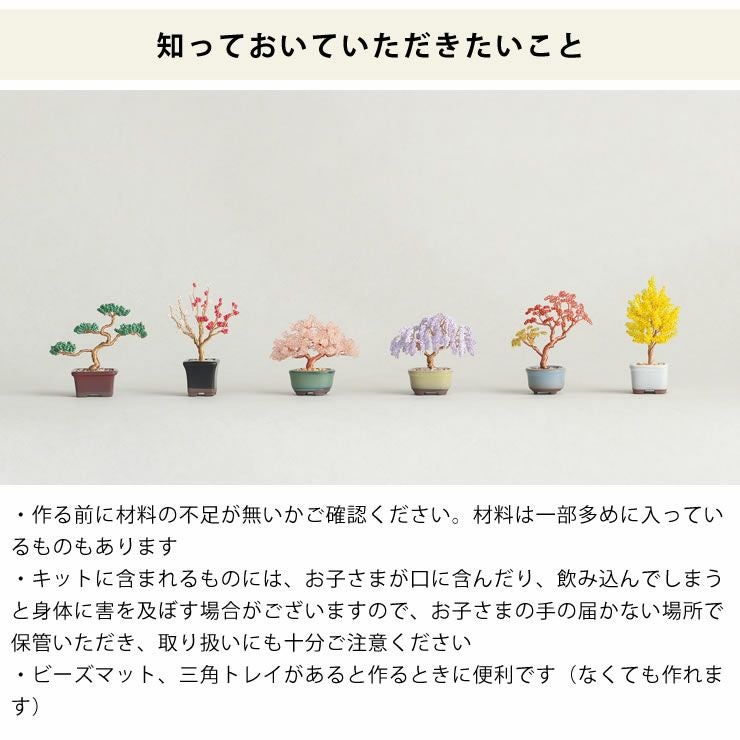 盆栽好きな方にお勧めなMIYUKI（ミユキ）ネジッテBONSAIキット