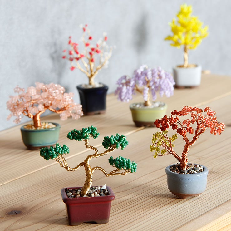 MIYUKI（ミユキ）のかわいらしいネジッテBONSAIキット