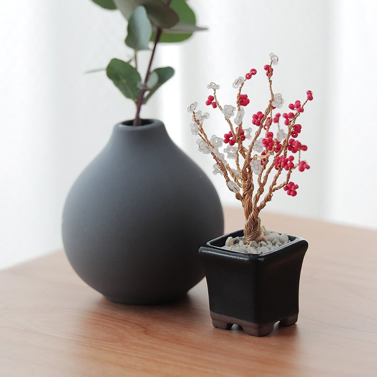 おしゃれなMIYUKI（ミユキ）ネジッテBONSAIキット