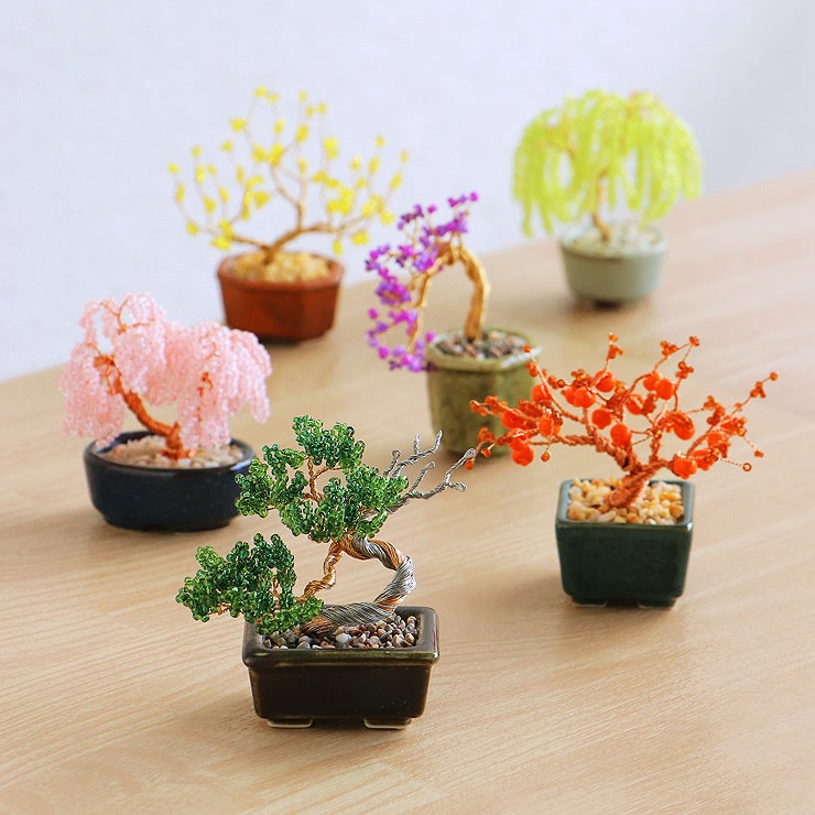 かわいらしいMIYUKI（ミユキ）ネジッテBONSAIキット
