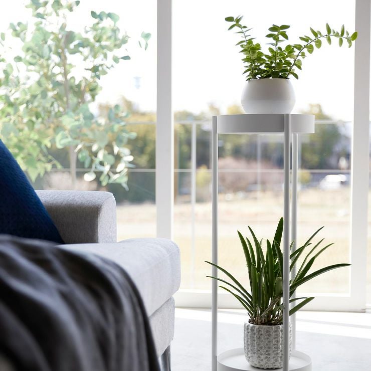 キャスター付きプランタースタンドはお部屋に馴染みやすいデザイン