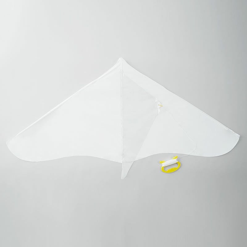 AOZORA（あおぞら）おえかきゲイラカイトの全体イメージ