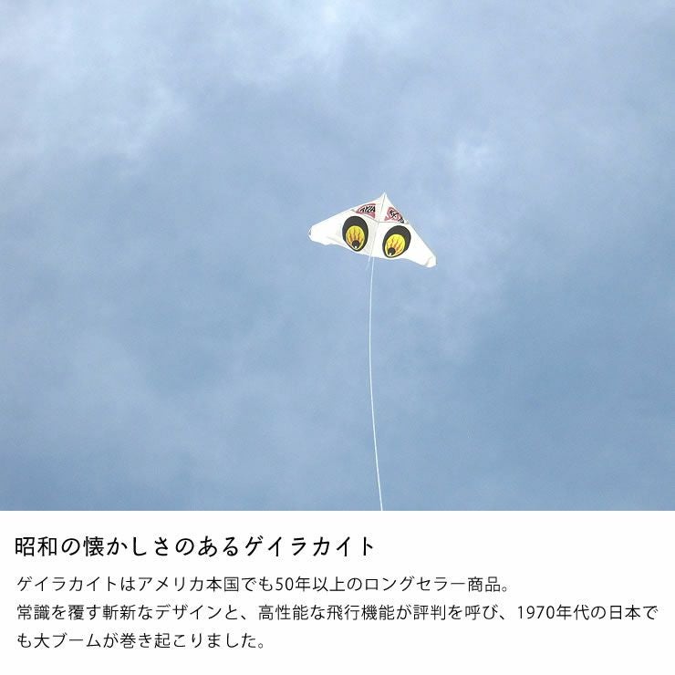 AOZORA（あおぞら）おえかきゲイラカ ベビーグッズ・おもちゃ