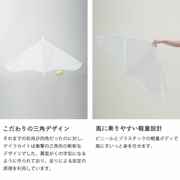 三角デザイン・軽量設計で高性能な飛行機能を持つゲイラカイト