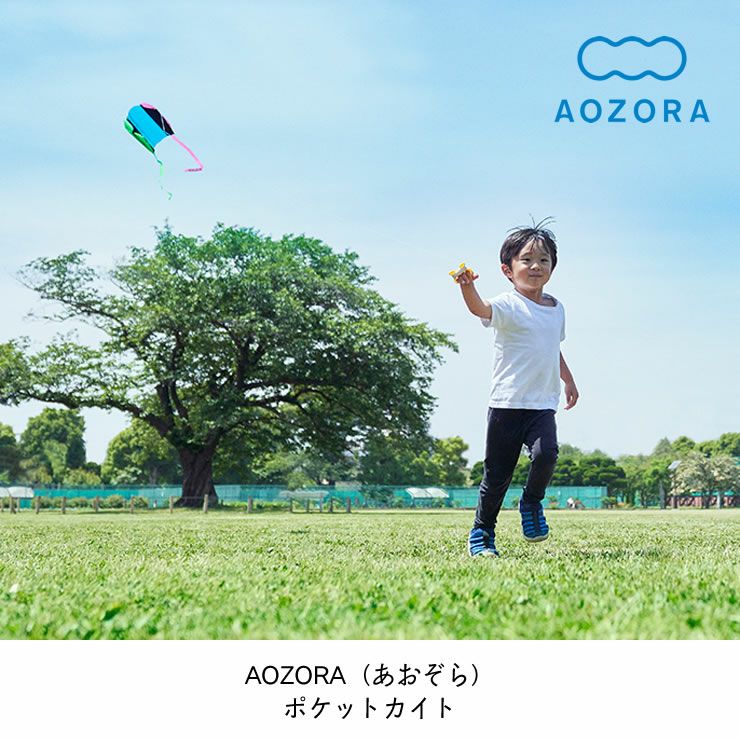 AOZORA（あおぞら）ポケットカイト ベビーグッズ・おもちゃ｜おもちゃ