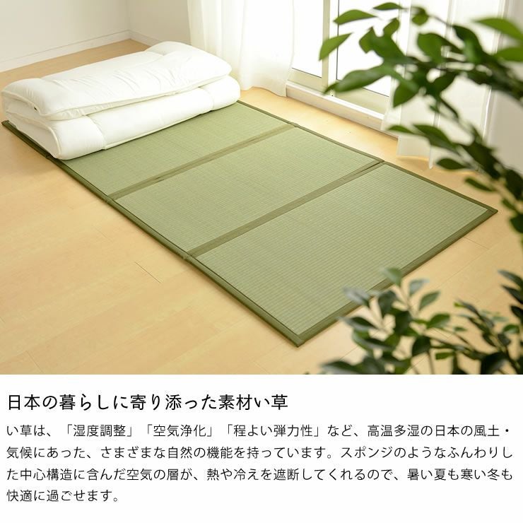 い草100%使用折りたためる畳マットレス 双目織シング い草寝ござ｜寝