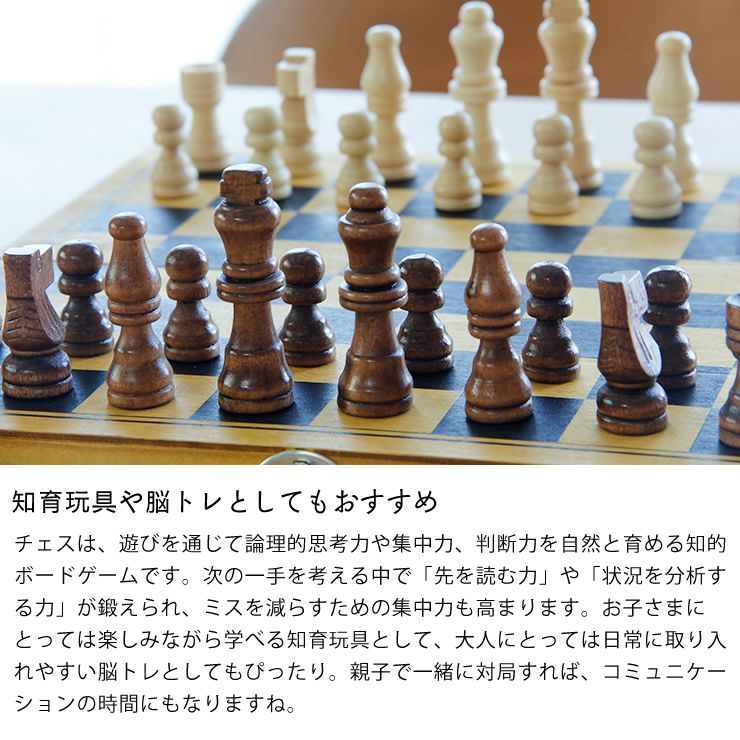 Professor PUZZLE（プロフ ベビーグッズ・おもちゃ｜おもちゃ通販