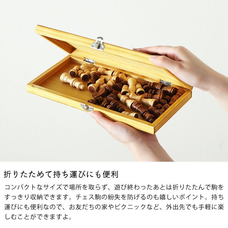 Professor PUZZLE（プロフ ベビーグッズ・おもちゃ｜おもちゃ通販