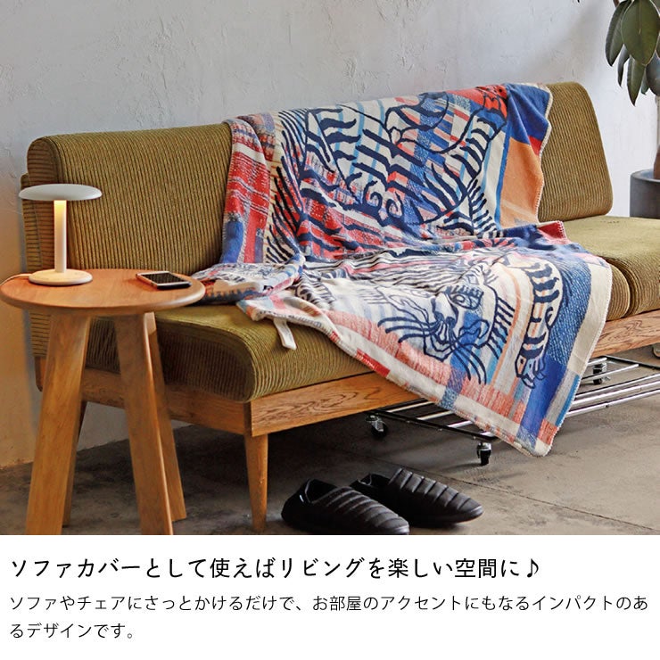 ソファカバーとして使えばリビングを楽しい空間にするフリースブランケット
