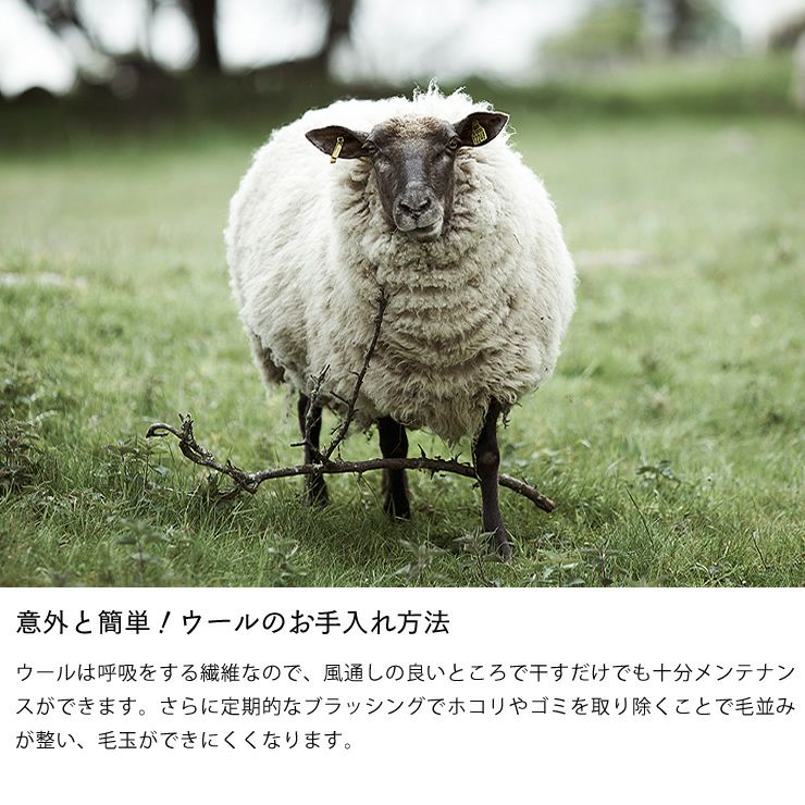 クリッパン チェアパッドのお手入れ方法