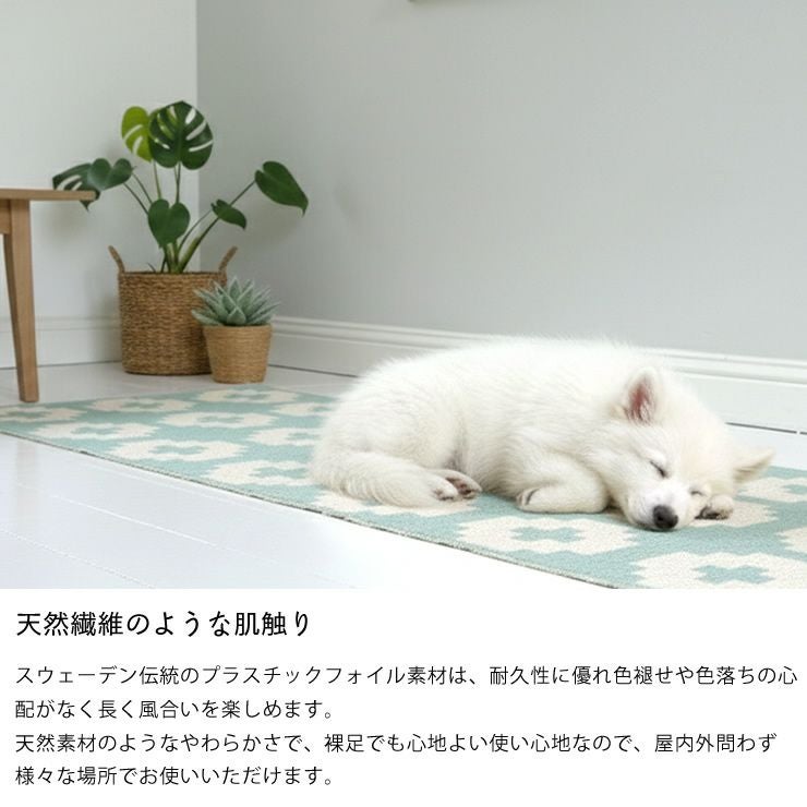 耐久性に優れて長持ちなBrita（ブリタ）インアウトドアラグ